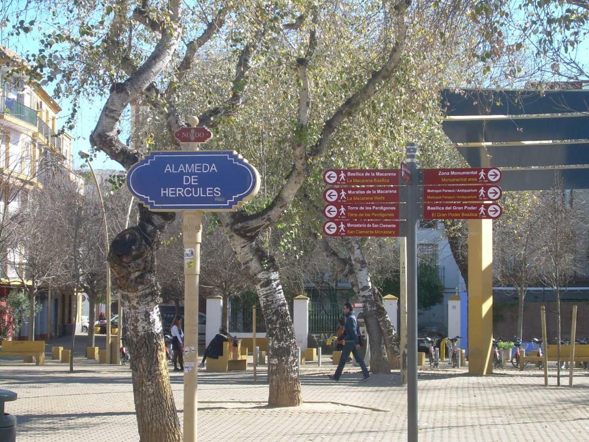Medina Apartment And Parking Historical Center إشبيلية المظهر الخارجي الصورة